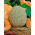 Melon Emir F1 - 18 nasion