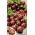 Pomidor wysoki - Black cherry - 60 nasion