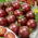 Pomidor wysoki - Black cherry - 60 nasion