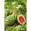 Arbuz, kawon Crimson Sweet - 12 nasion