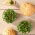 Microgreens - Brukiew - młode listki o unikalnym smaku