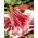 Rabarbar Raspberry Red - malinowy - sadzonka - 1 szt.