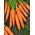 Marchew Pierwszy Zbiór - wczesna - 50 gram - 42500 nasion