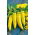Papryka ostra węgierska Hungarian yellow wax hot - 70 nasion