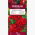 Goździk brodaty Scarlet Beauty - szkarłatny - 450 nasion