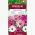 Osteospermum - 35 nasion
