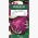 Cykoria sałatowa radicchio Palla Rossa 3 - 360 nasion