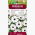 Osteospermum białe - 35 nasion