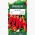 Papryka Jalapeno - bardzo ostra, czerwona - 85 nasion