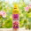Nawóz do roślin kwaśnolubnych - azalii, rododendronów, kamelii - w butelce z pompką - Zielony Dom - 300 ml