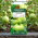 Tykwa pospolita Birdhouse - 7 nasion
