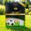 Mieszanka traw - Sport Premium - 1 kg