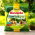 Mieszanka trawnikowa - najbardziej uniwersalna mieszanka traw - Planta - 2 kg