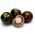 Pomidor wysoki - Black cherry - 60 nasion