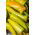 Papryka ostra węgierska Hungarian yellow wax hot - 70 nasion