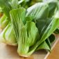 Kapusta chińska Pak-Choi - 500 nasion