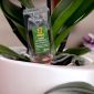 Orchid Power - odżywka do storczyków z aplikatorem - Compo - 1 x 30 ml