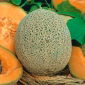 Melon Emir F1 - 18 nasion