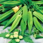 Ketmia jadalna - Okra - 30 nasion