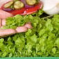Microgreens - Sałata zielona - młode listki o unikalnym smaku - 1250 nasion