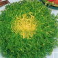 Endywia Riccia Cuor D'oro