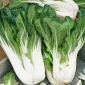 Kapusta chińska Pak-Choi Joi Choi